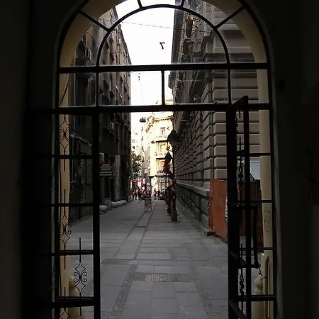 Danijela-city Centar Apartamento Belgrado